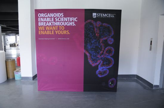 Nero alluminio magnetico schiocca in sul basamento